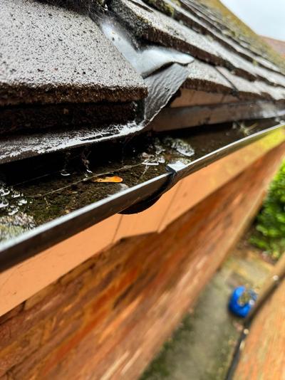 Clogged gutters